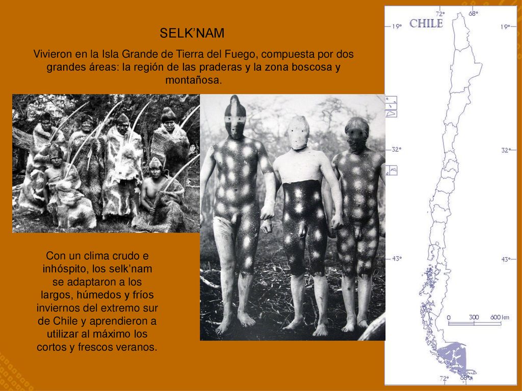 SELK’NAM Vivieron en la Isla Grande de Tierra del Fuego, compuesta por dos grandes áreas: la región de las praderas y la zona boscosa y montañosa.