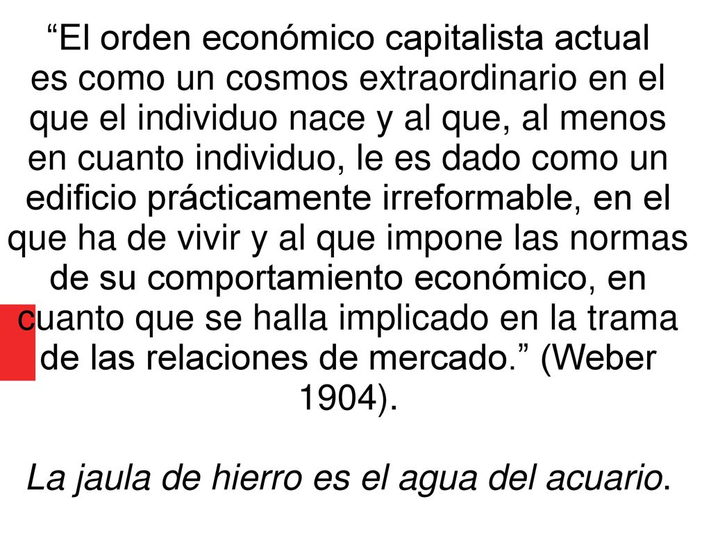 El orden económico capitalista actual