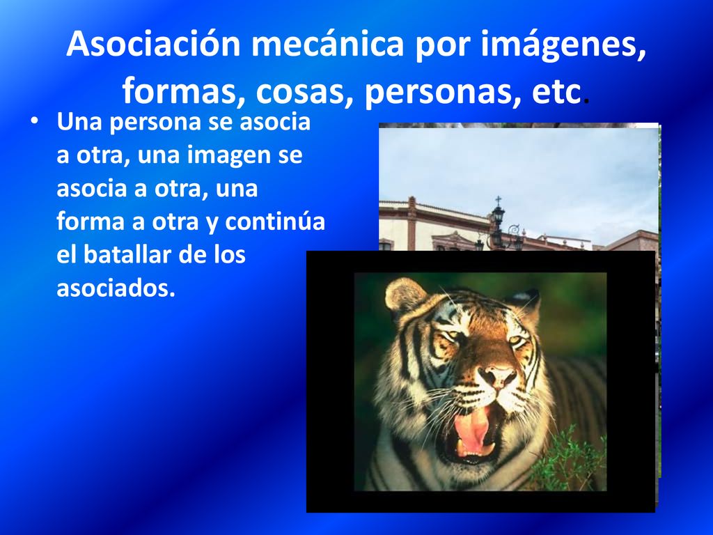 Asociación mecánica por imágenes, formas, cosas, personas, etc.