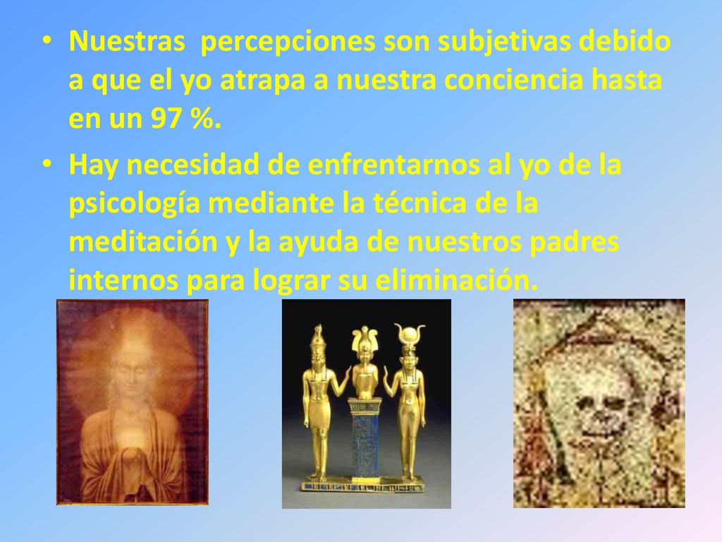 Nuestras percepciones son subjetivas debido a que el yo atrapa a nuestra conciencia hasta en un 97 %.