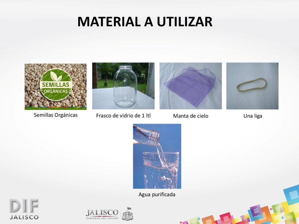 MATERIAL A UTILIZAR Semillas Orgánicas Frasco de vidrio de 1 ltl