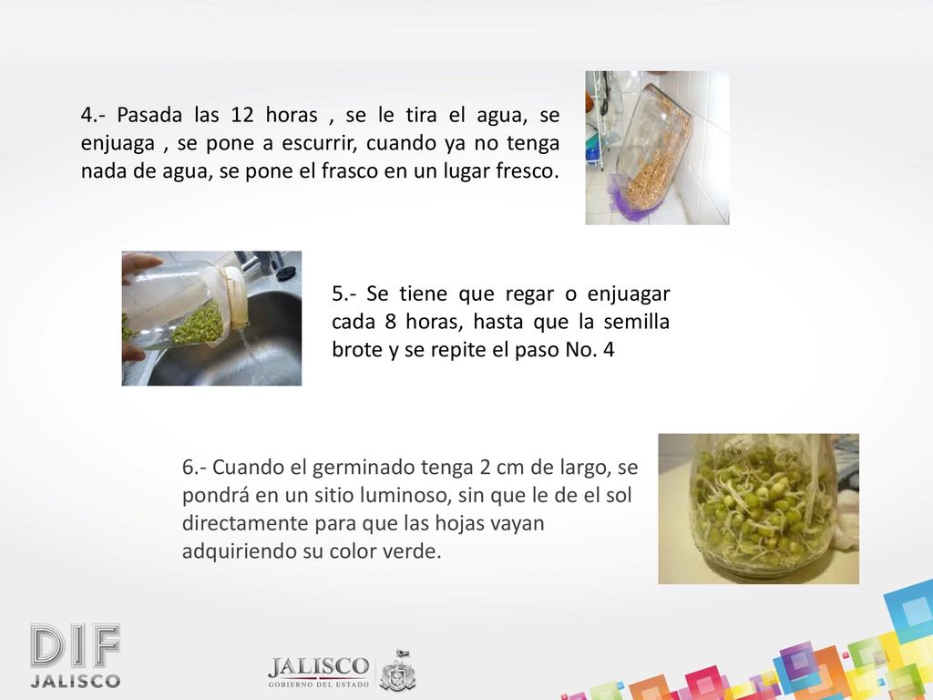 4.- Pasada las 12 horas , se le tira el agua, se enjuaga , se pone a escurrir, cuando ya no tenga nada de agua, se pone el frasco en un lugar fresco.