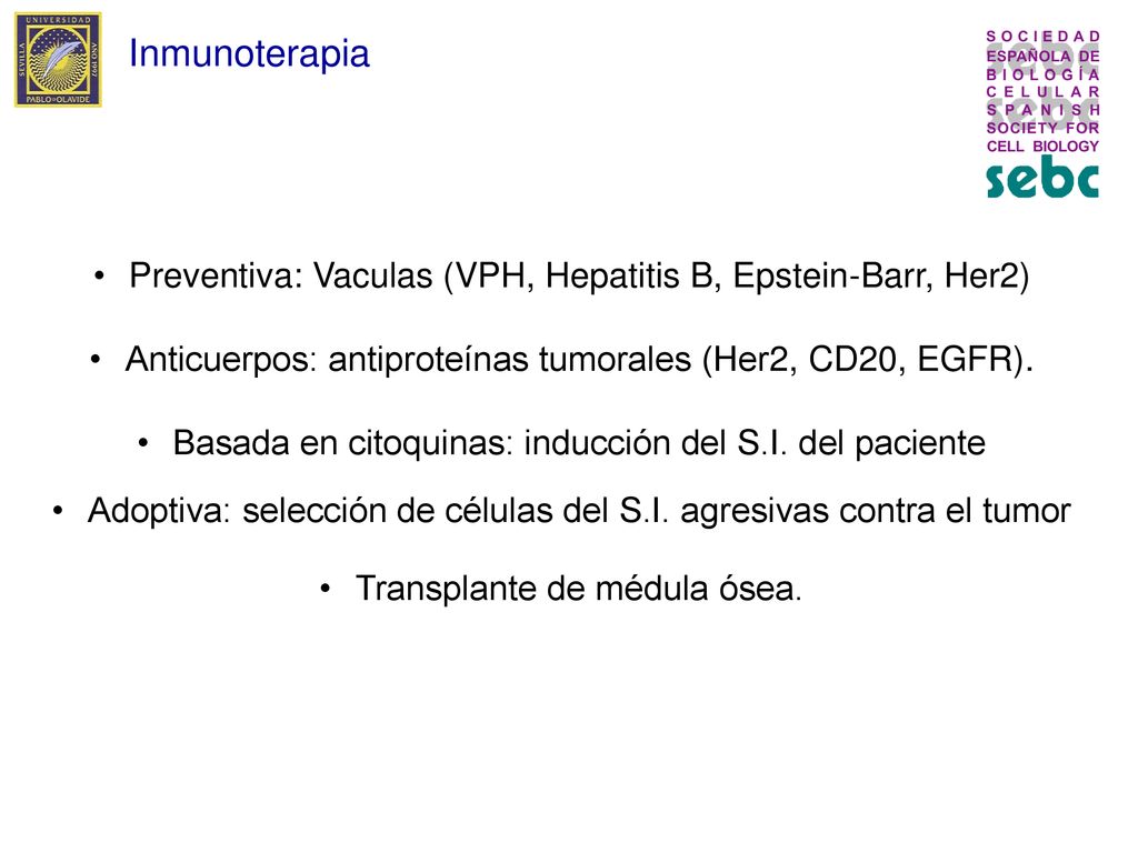 Inmunoterapia Preventiva: Vaculas (VPH, Hepatitis B, Epstein-Barr, Her2) Anticuerpos: antiproteínas tumorales (Her2, CD20, EGFR).