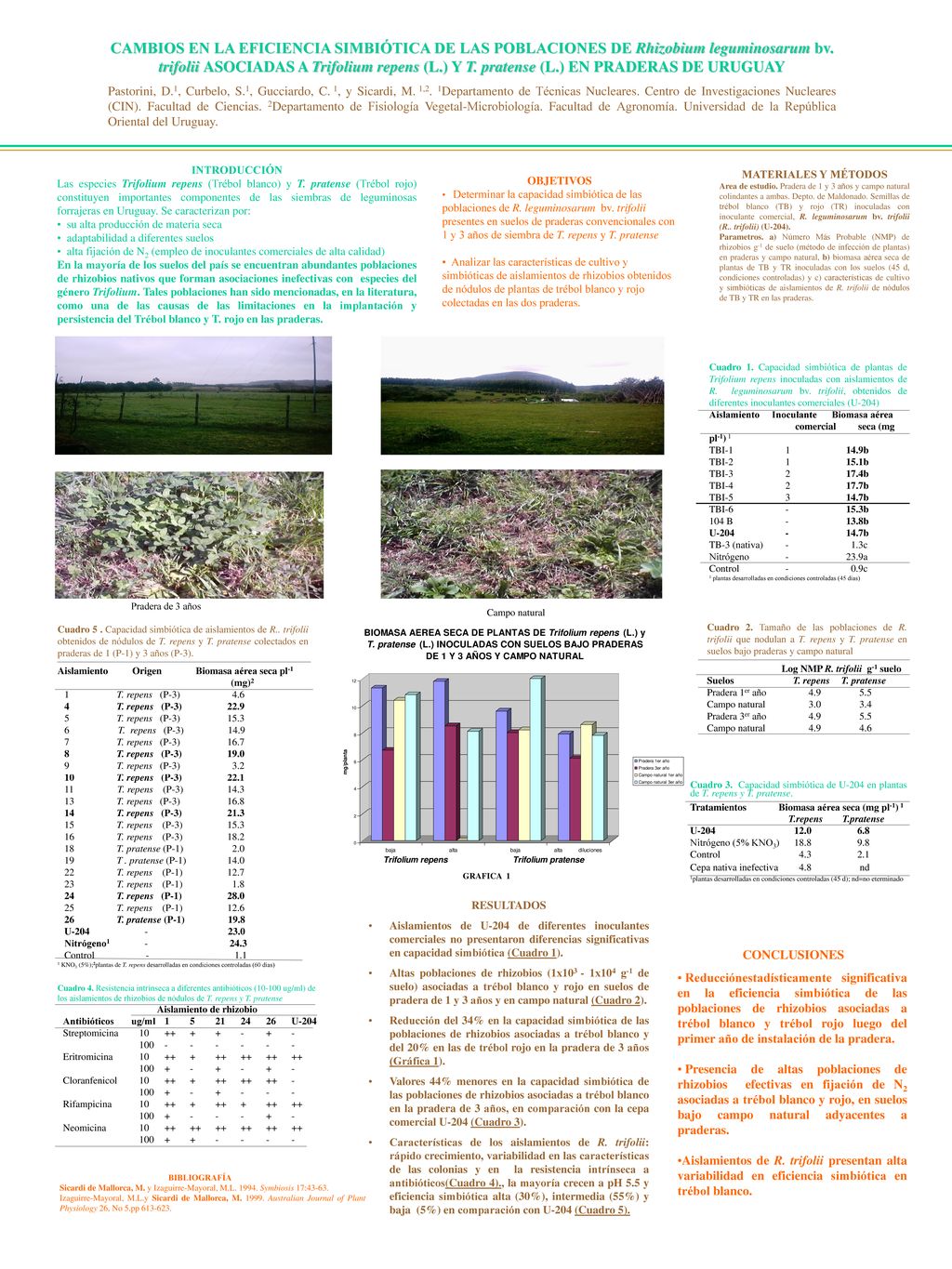 CAMBIOS EN LA EFICIENCIA SIMBIÓTICA DE LAS POBLACIONES DE Rhizobium leguminosarum bv. trifolii ASOCIADAS A Trifolium repens (L.) Y T. pratense (L.) EN PRADERAS DE URUGUAY