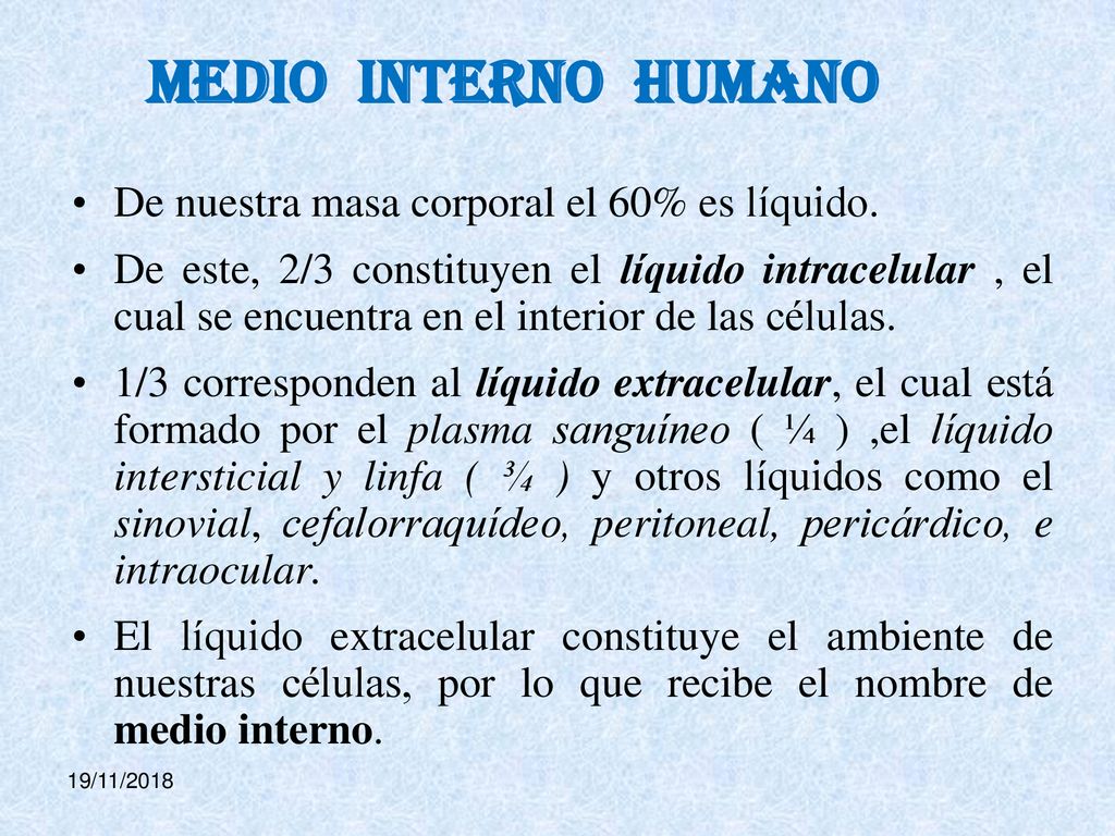 MEDIO INTERNO humano De nuestra masa corporal el 60% es líquido.