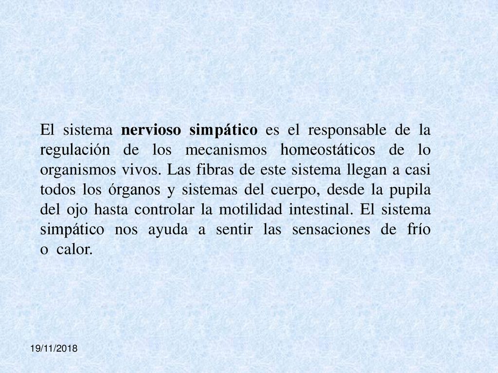 El sistema nervioso simpático es el responsable de la regulación de los mecanismos homeostáticos de lo organismos vivos. Las fibras de este sistema llegan a casi todos los órganos y sistemas del cuerpo, desde la pupila del ojo hasta controlar la motilidad intestinal. El sistema simpático nos ayuda a sentir las sensaciones de frío o calor.