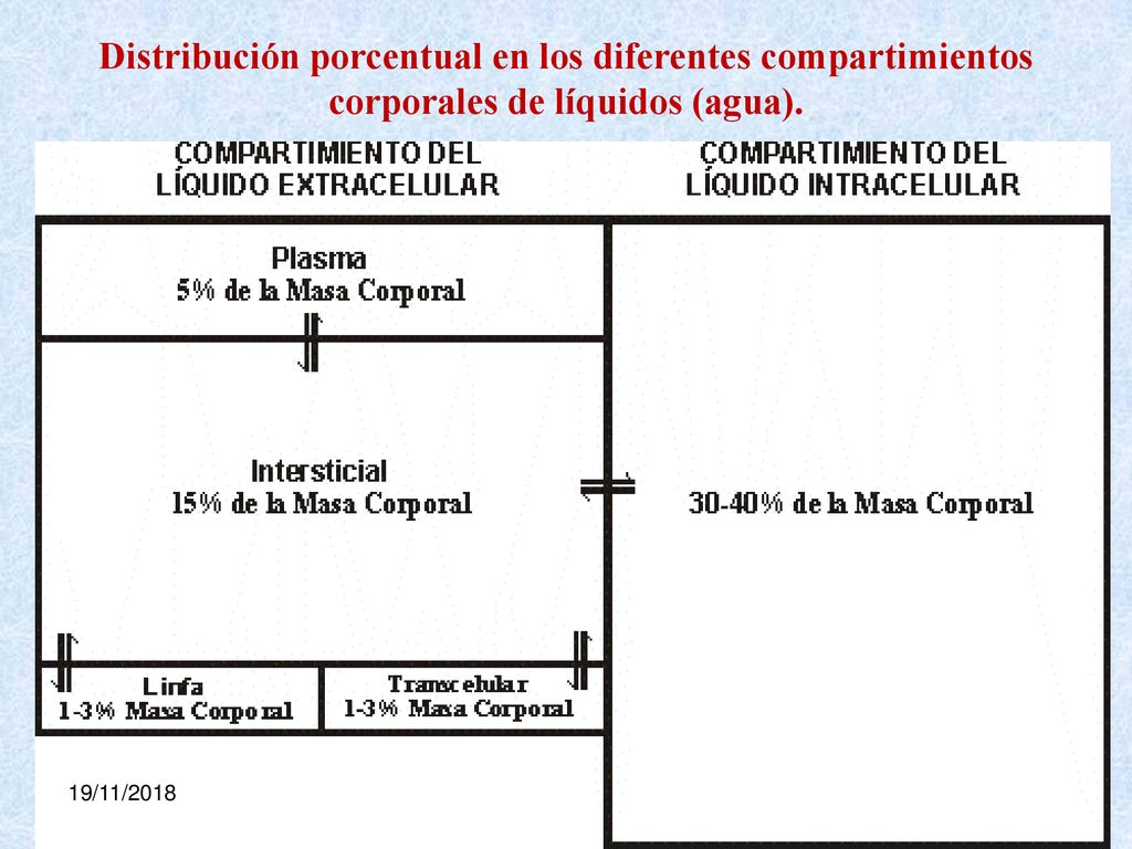 Distribución porcentual en los diferentes compartimientos corporales de líquidos (agua).