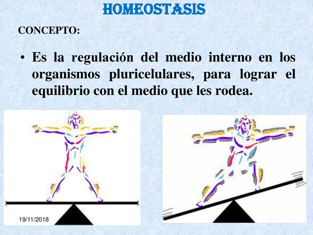 HOMEOSTASIS CONCEPTO: Es la regulación del medio interno en los organismos pluricelulares, para lograr el equilibrio con el medio que les rodea.