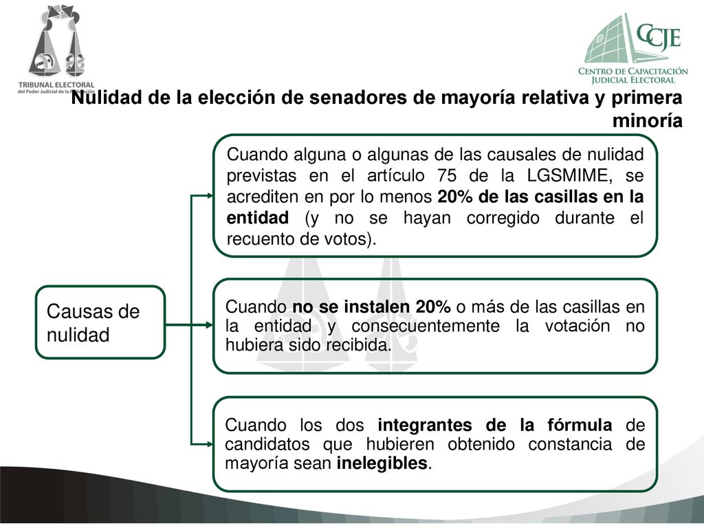 Nulidad de la elección de senadores de mayoría relativa y primera minoría