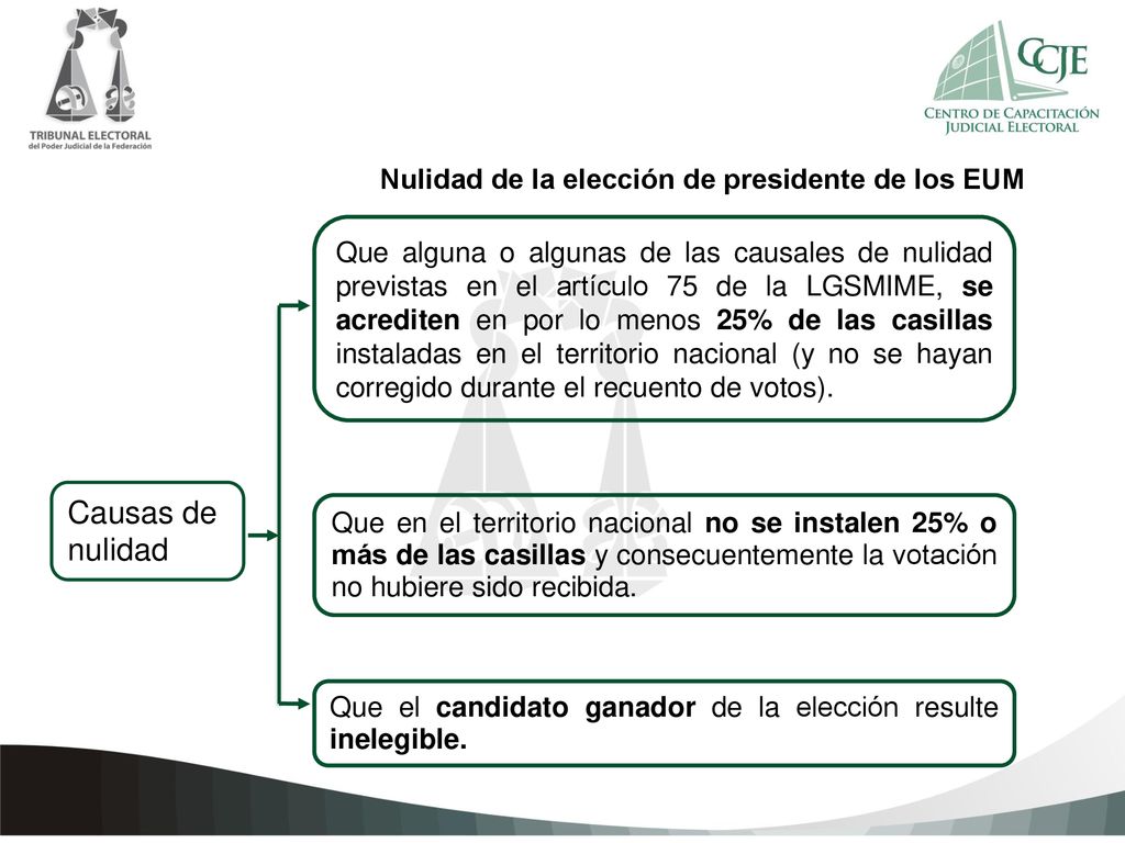 Causas de nulidad Nulidad de la elección de presidente de los EUM
