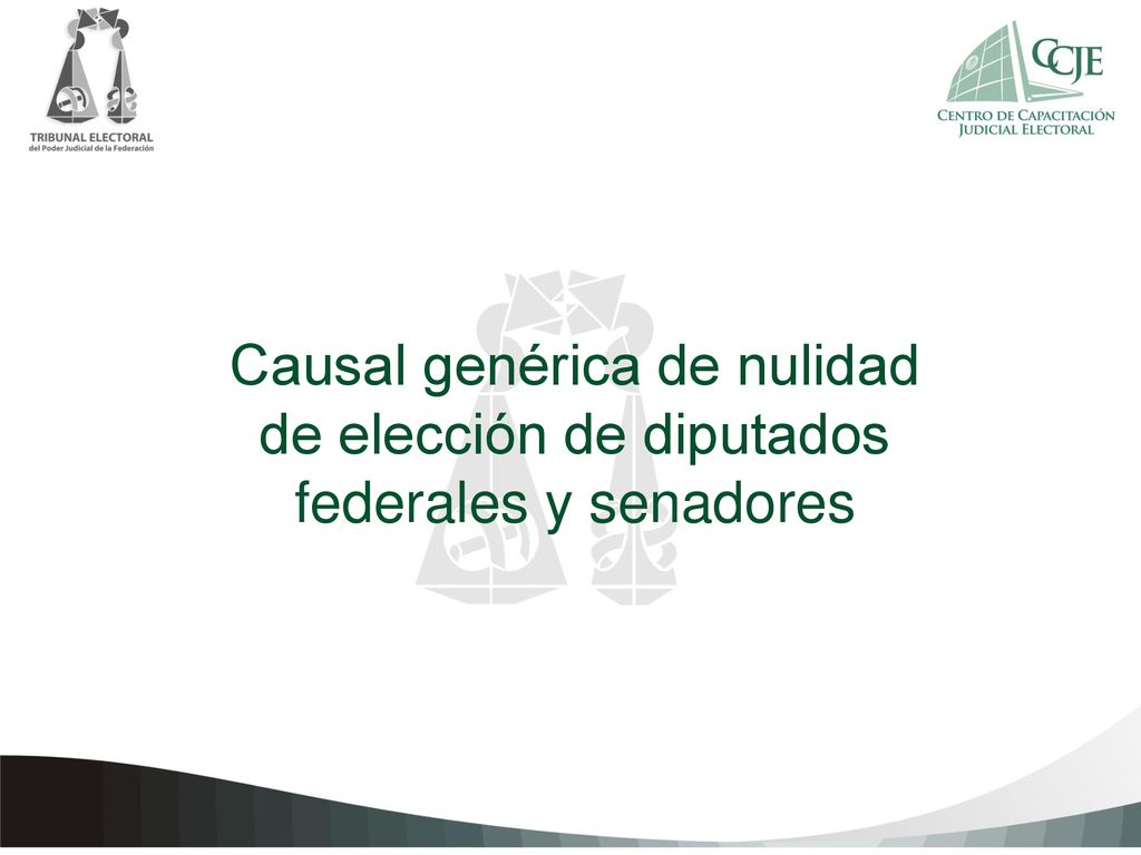 Causal genérica de nulidad de elección de diputados federales y senadores