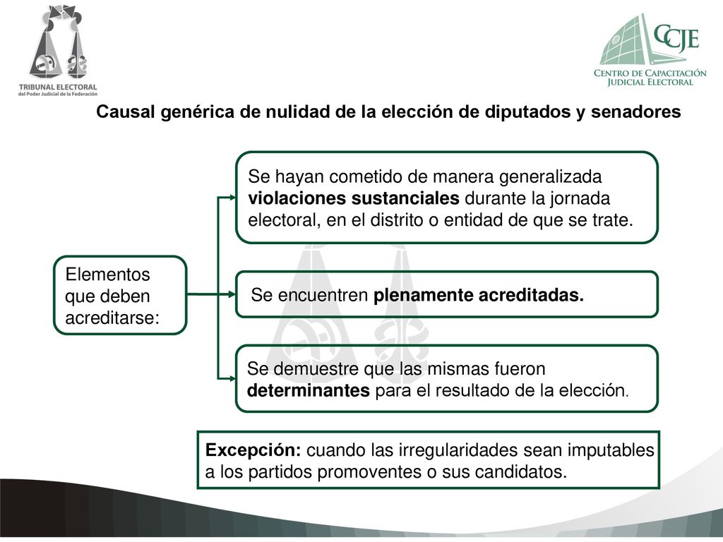Causal genérica de nulidad de la elección de diputados y senadores