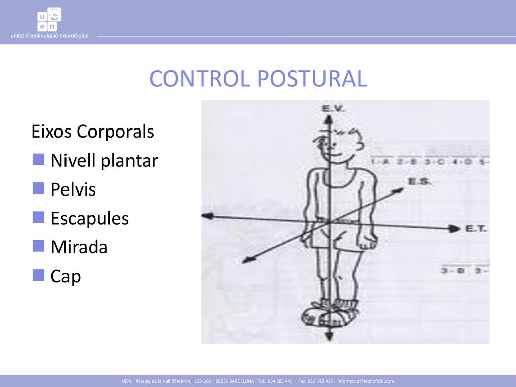 CONTROL POSTURAL Eixos Corporals Nivell plantar Pelvis Escapules