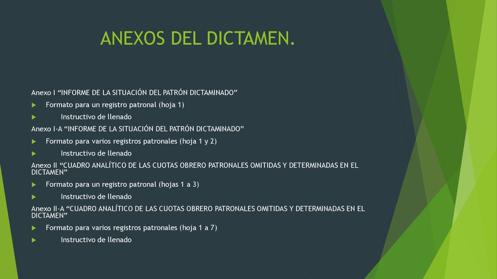 ANEXOS DEL DICTAMEN. Anexo I INFORME DE LA SITUACIÓN DEL PATRÓN DICTAMINADO Formato para un registro patronal (hoja 1)