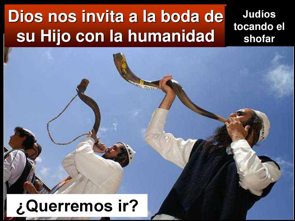 Dios nos invita a la boda de su Hijo con la humanidad ¿Querremos ir