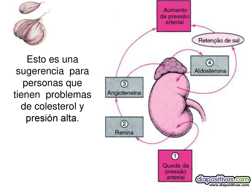 Esto es una sugerencia para personas que tienen problemas de colesterol y presión alta.