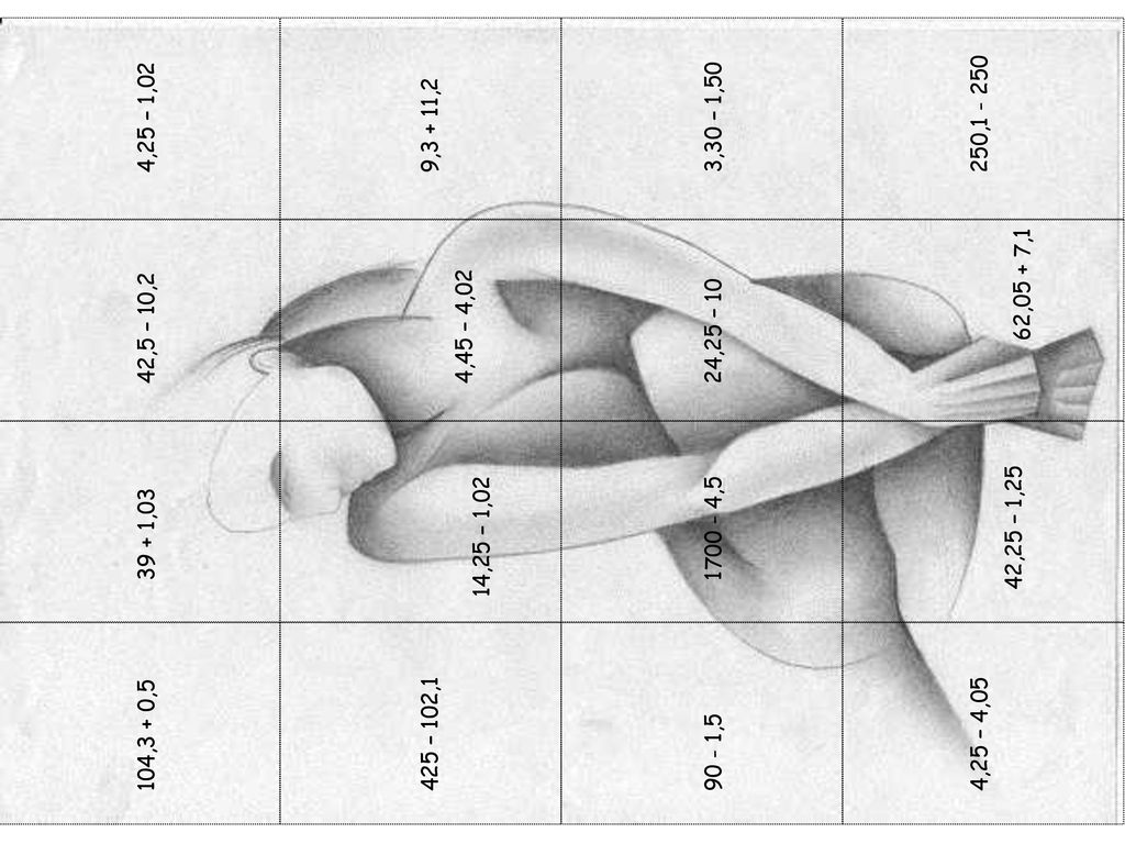 4,25 – 1,02 9,3 + 11,2. 3,30 – 1, , ,05 + 7,1. 42,5 – 10,2. 4,45 – 4,02. 24,25 – 10.