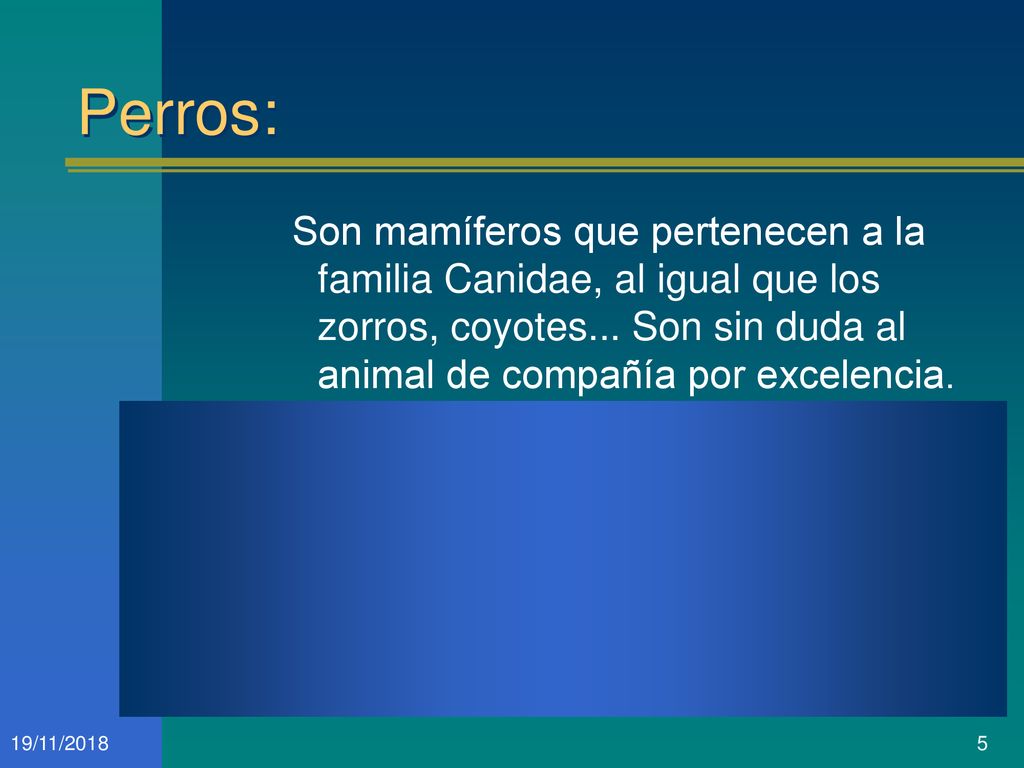 Perros: Son mamíferos que pertenecen a la familia Canidae, al igual que los zorros, coyotes... Son sin duda al animal de compañía por excelencia.