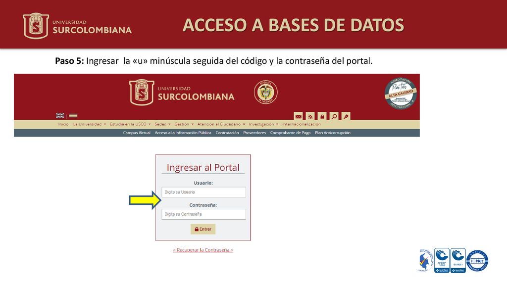 ACCESO A BASES DE DATOS Paso 5: Ingresar la «u» minúscula seguida del código y la contraseña del portal.