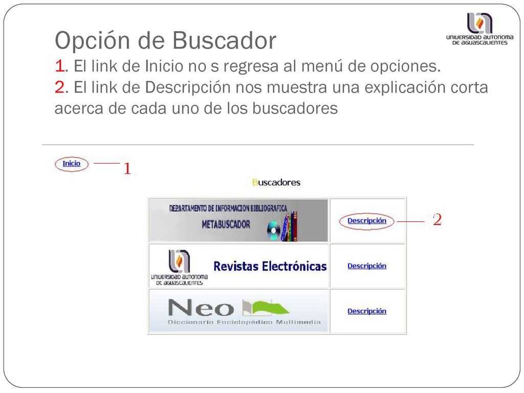 Opción de Buscador 1. El link de Inicio no s regresa al menú de opciones.