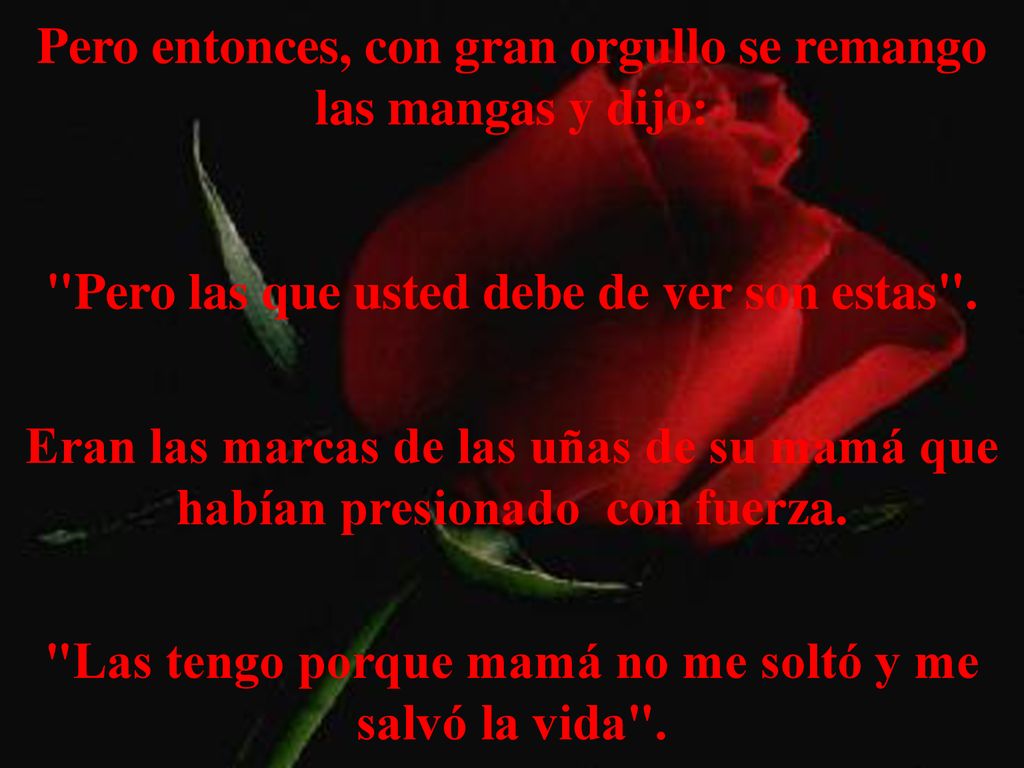 Pero entonces, con gran orgullo se remango las mangas y dijo: