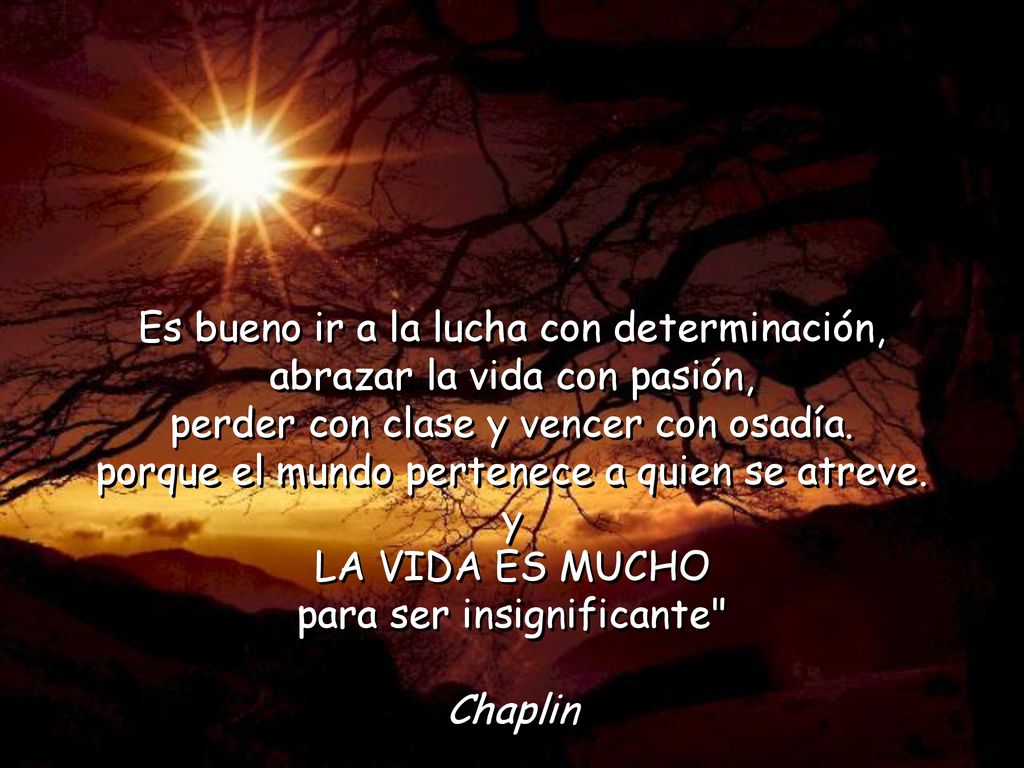 Es bueno ir a la lucha con determinación, abrazar la vida con pasión,
