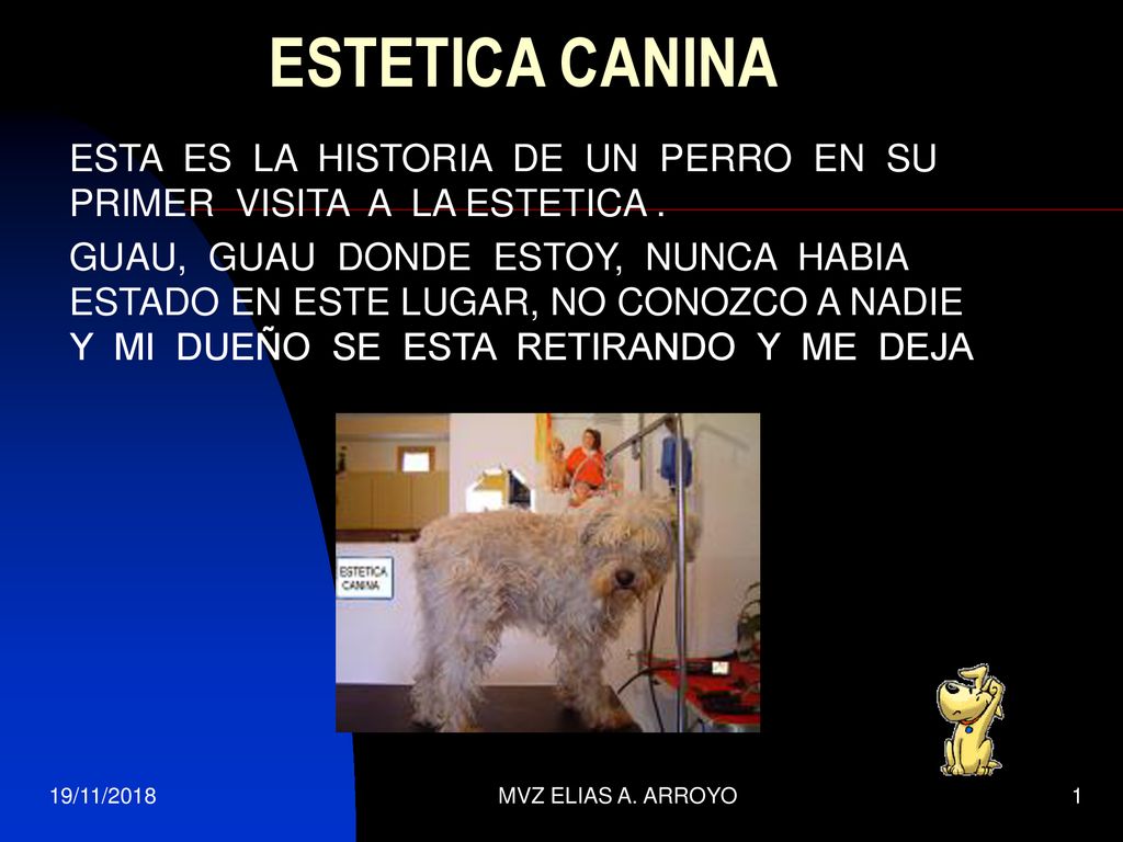 ESTETICA CANINA ESTA ES LA HISTORIA DE UN PERRO EN SU PRIMER VISITA A LA ESTETICA .