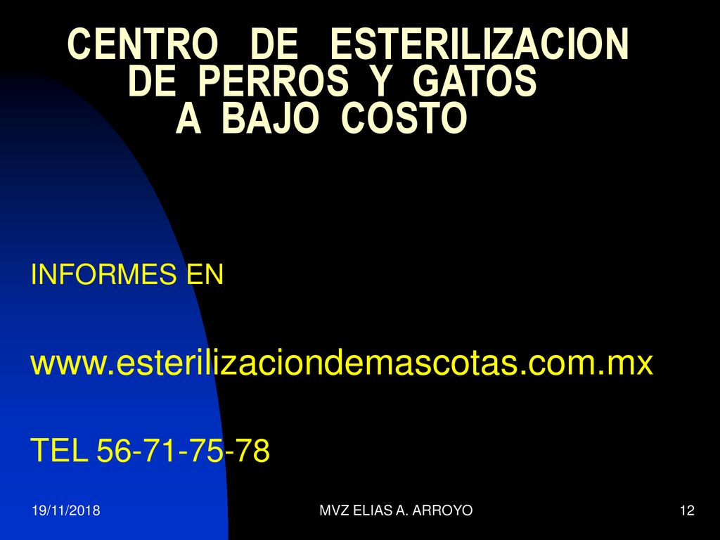 CENTRO DE ESTERILIZACION DE PERROS Y GATOS A BAJO COSTO