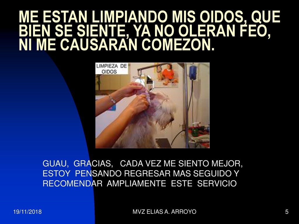 ME ESTAN LIMPIANDO MIS OIDOS, QUE BIEN SE SIENTE, YA NO OLERAN FEO, NI ME CAUSARAN COMEZON.
