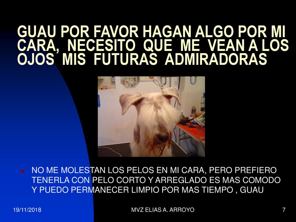 GUAU POR FAVOR HAGAN ALGO POR MI CARA, NECESITO QUE ME VEAN A LOS OJOS MIS FUTURAS ADMIRADORAS