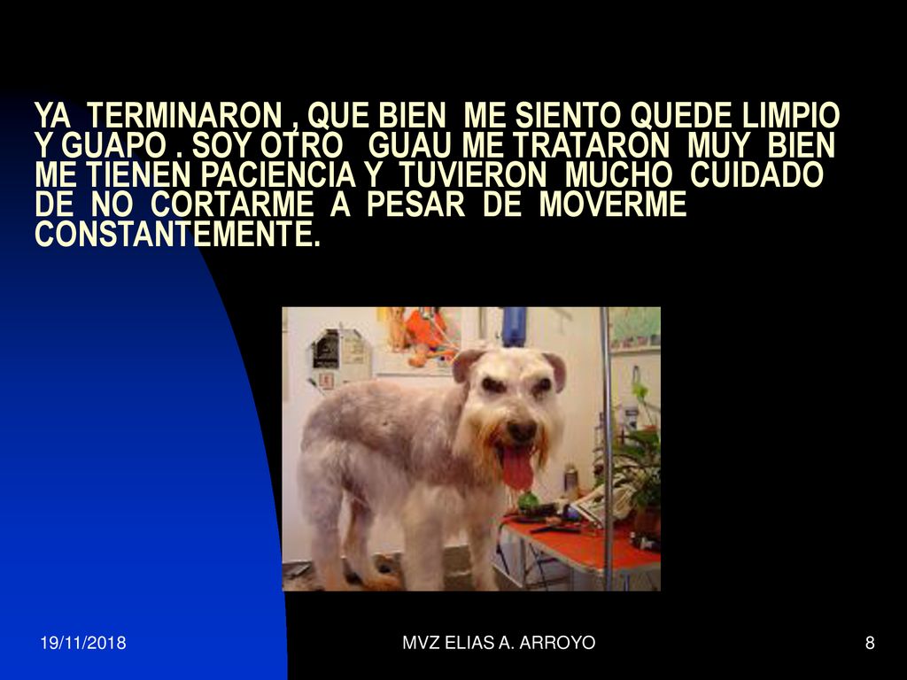 YA TERMINARON , QUE BIEN ME SIENTO QUEDE LIMPIO Y GUAPO