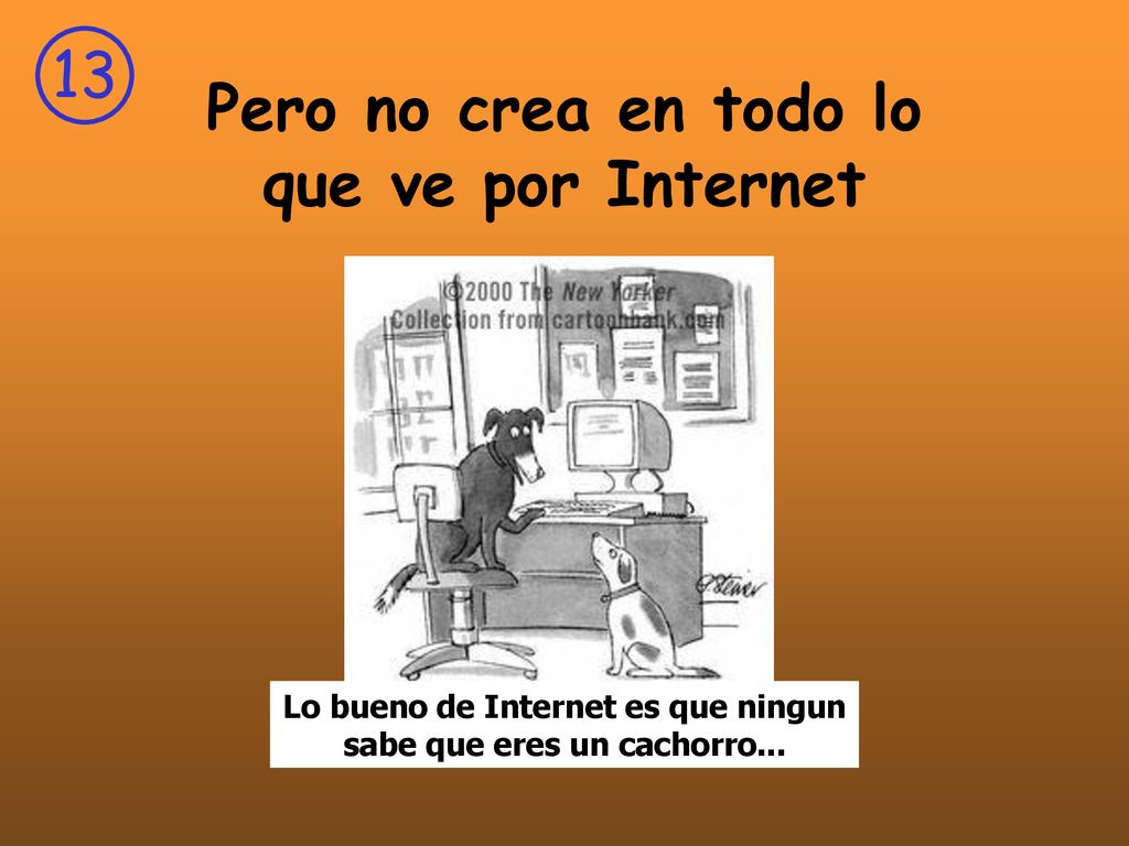 Pero no crea en todo lo que ve por Internet