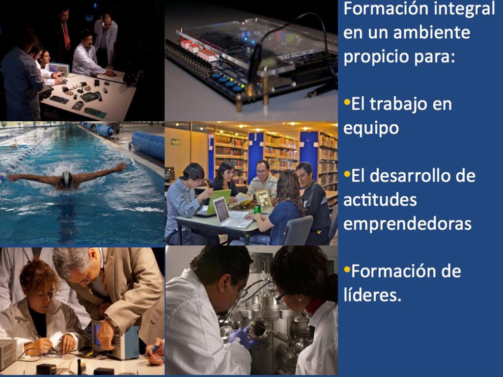 Si terminaste, con un buen promedio tu licenciatura, seguramente el CIC será tu espacio para que puedas realizar tus
