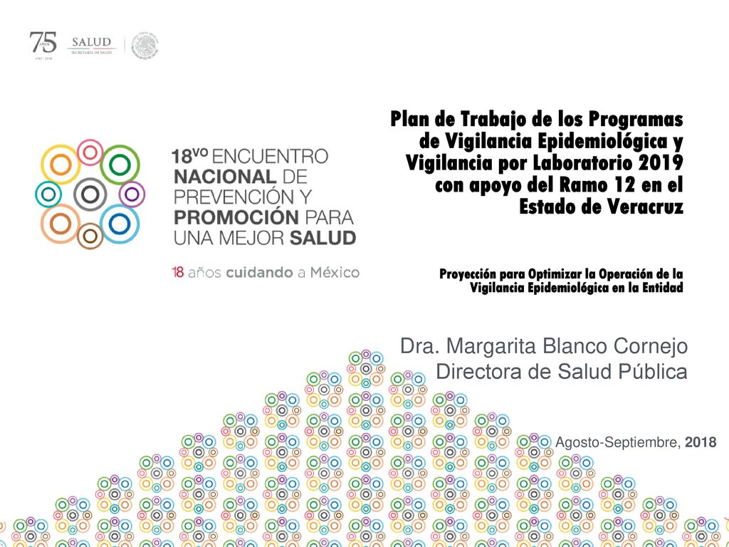 Plan de Trabajo de los Programas de Vigilancia Epidemiológica y Vigilancia por Laboratorio 2019 con apoyo del Ramo 12 en el Estado de Veracruz