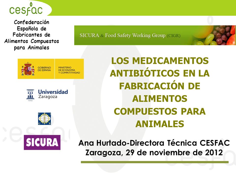 Ana Hurtado-Directora Técnica CESFAC Zaragoza, 29 de noviembre de 2012