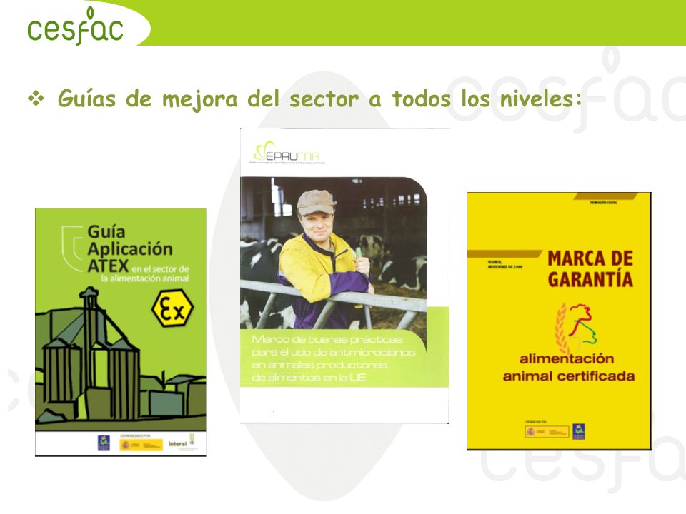 Guías de mejora del sector a todos los niveles: