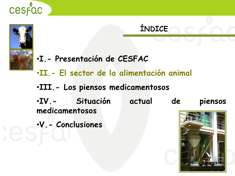 I.- Presentación de CESFAC II.- El sector de la alimentación animal
