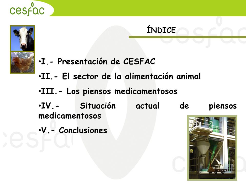 I.- Presentación de CESFAC II.- El sector de la alimentación animal