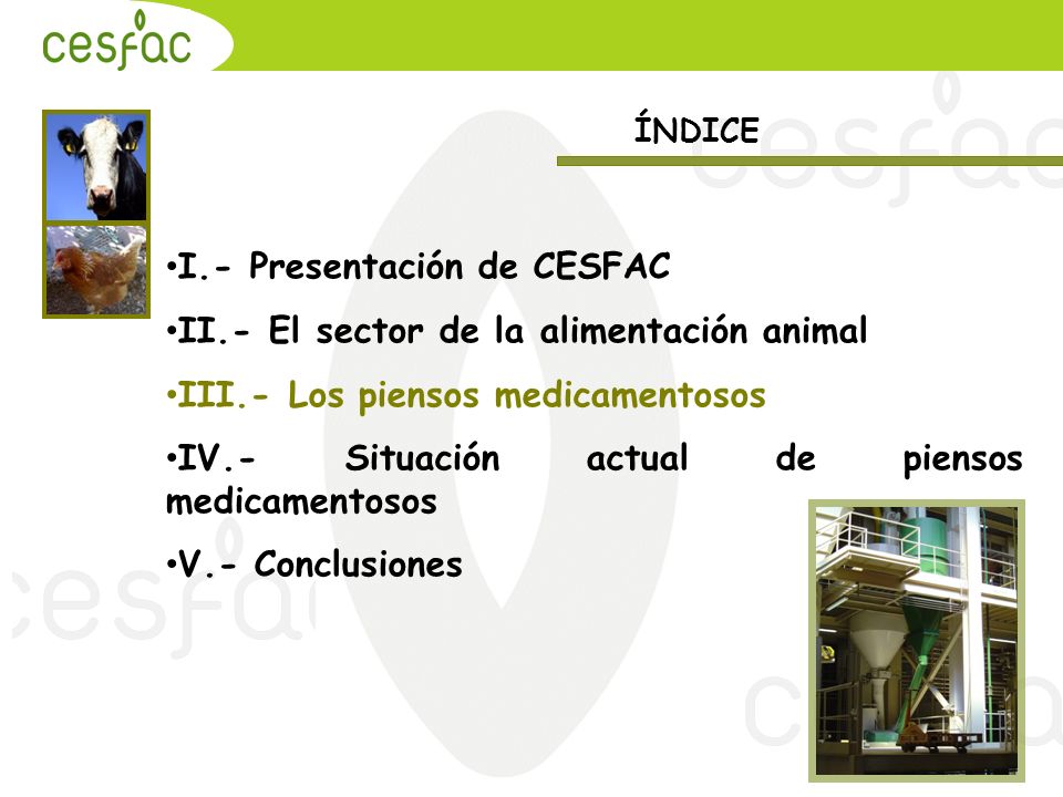 I.- Presentación de CESFAC II.- El sector de la alimentación animal