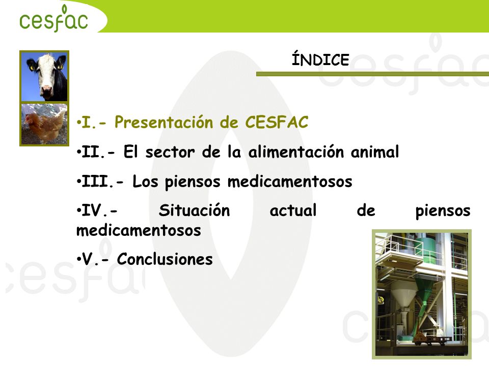 I.- Presentación de CESFAC II.- El sector de la alimentación animal