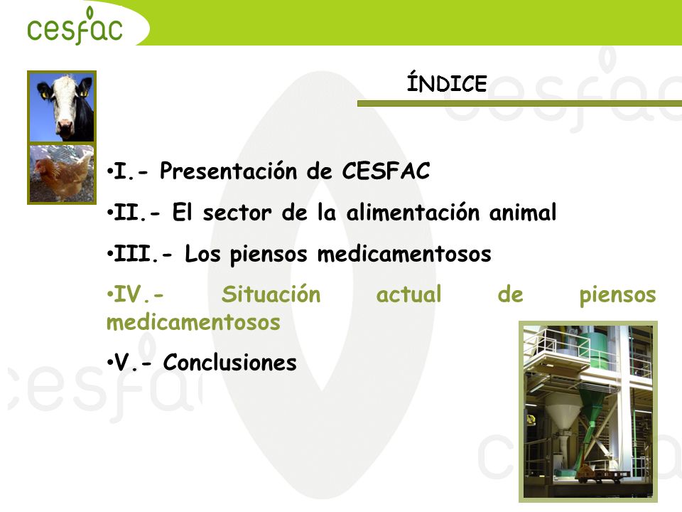 I.- Presentación de CESFAC II.- El sector de la alimentación animal