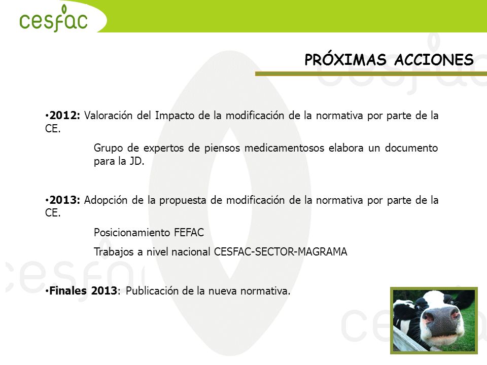 PRÓXIMAS ACCIONES 2012: Valoración del Impacto de la modificación de la normativa por parte de la CE.