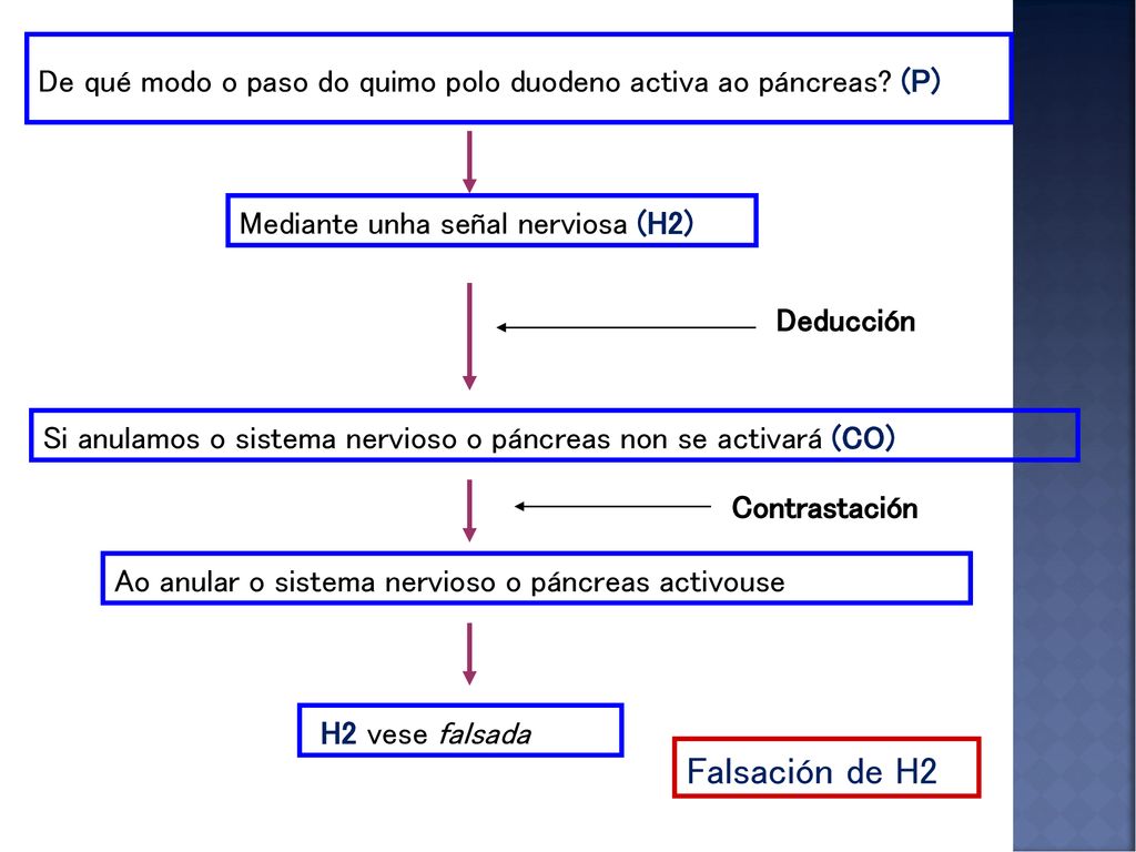 De qué modo o paso do quimo polo duodeno activa ao páncreas (P)