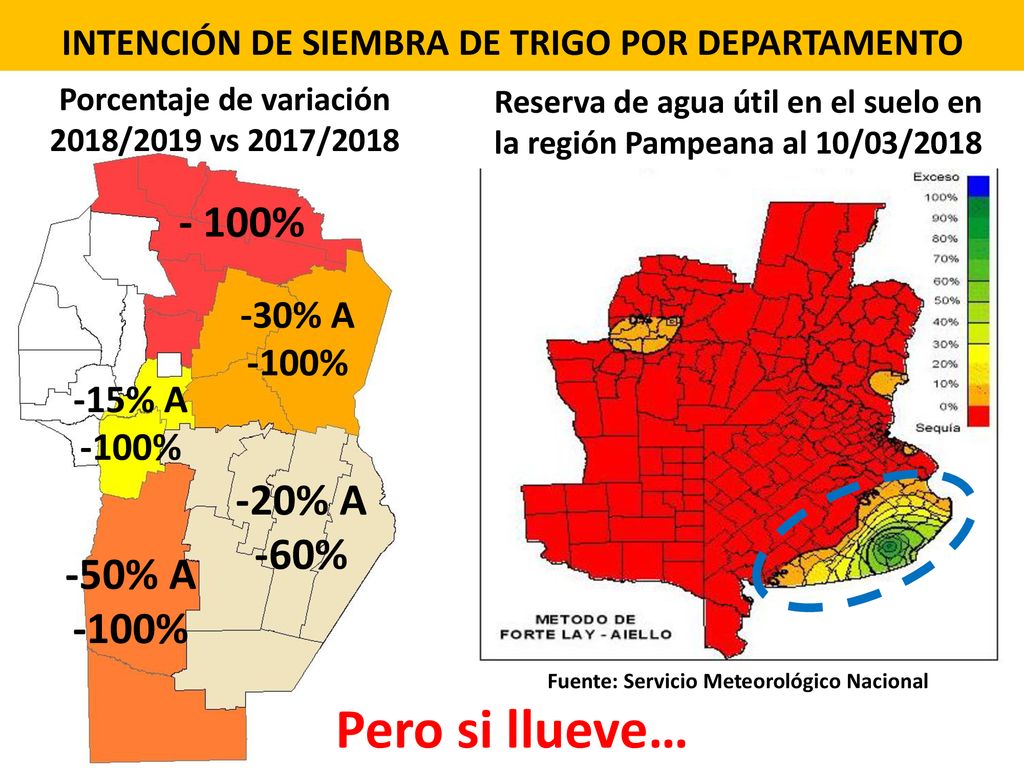 Pero si llueve… - 100% -20% A -60% -50% A -100% -30% A -100% -15% A