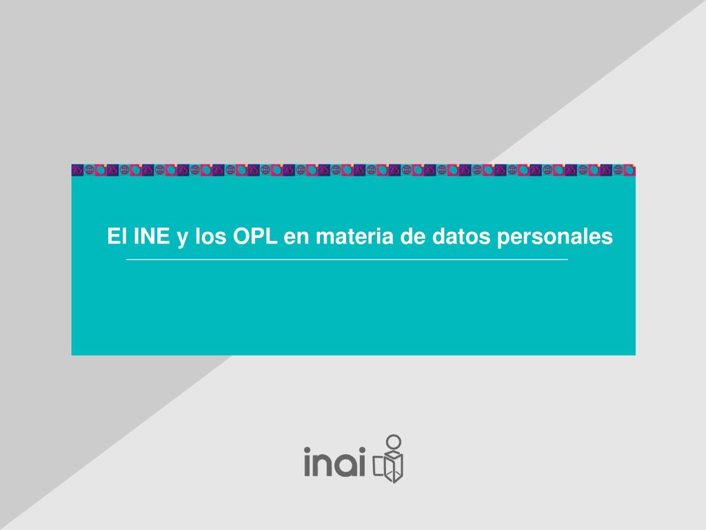 El INE y los OPL en materia de datos personales