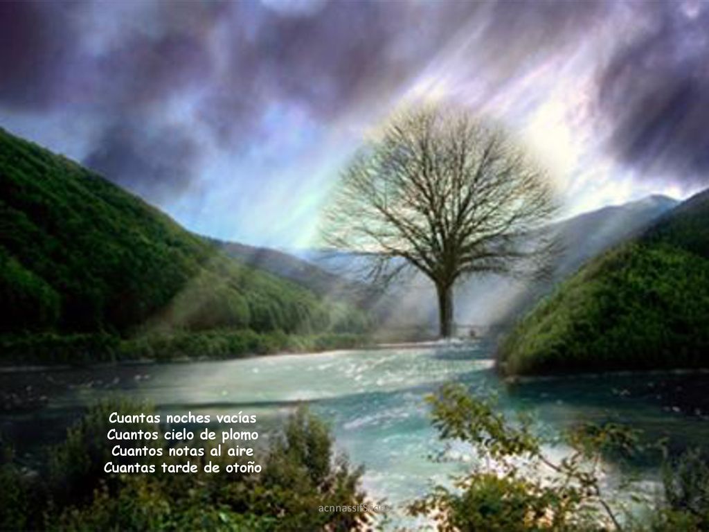 Cuantas noches vacías Cuantos cielo de plomo Cuantos notas al aire Cuantas tarde de otoño