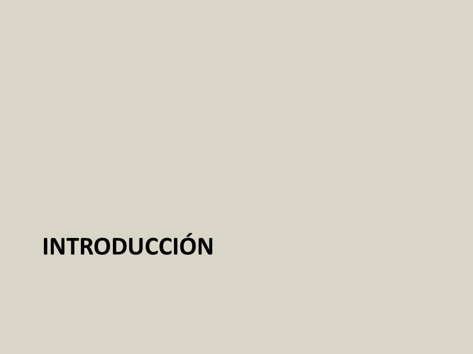 INTRODUCCIÓN
