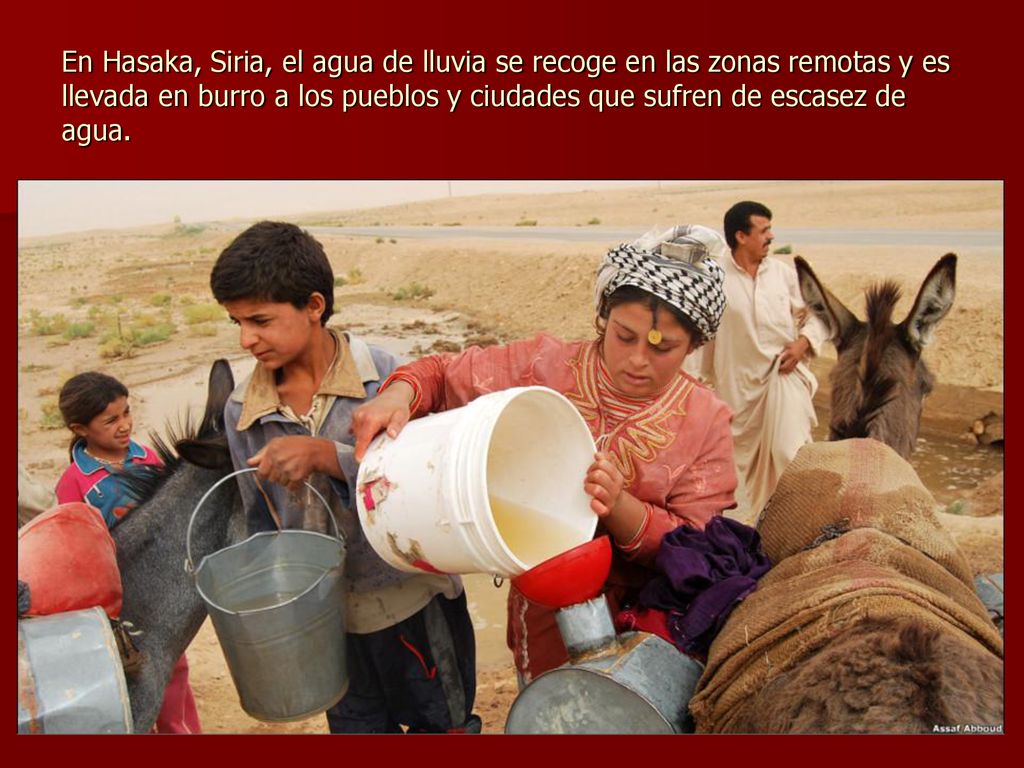 En Hasaka, Siria, el agua de lluvia se recoge en las zonas remotas y es llevada en burro a los pueblos y ciudades que sufren de escasez de agua.