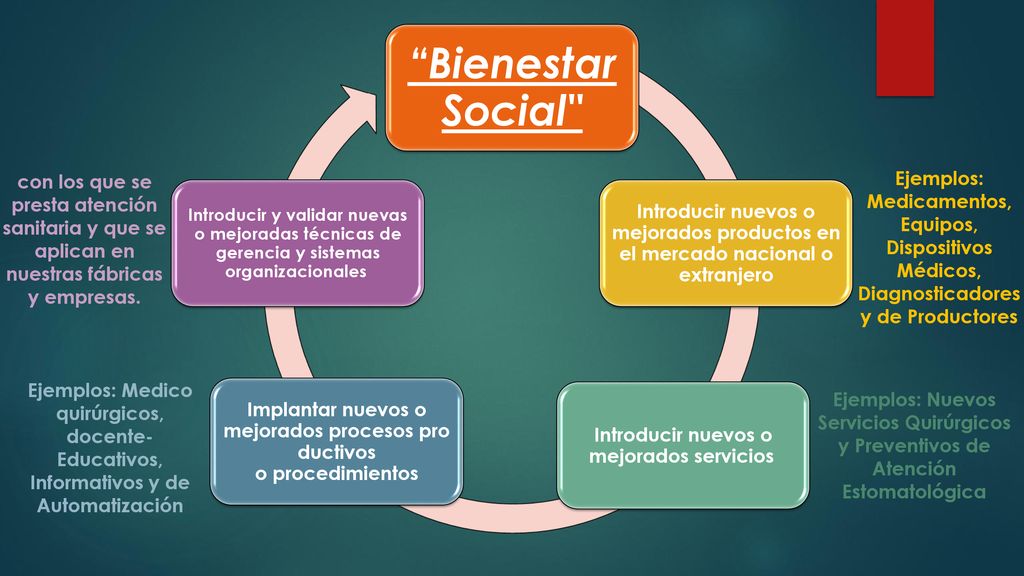 Implantar nuevos o mejorados procesos productivos o procedimientos