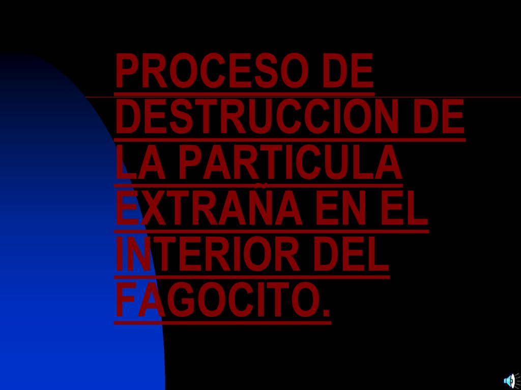 PROCESO DE DESTRUCCION DE LA PARTICULA EXTRAÑA EN EL INTERIOR DEL FAGOCITO.